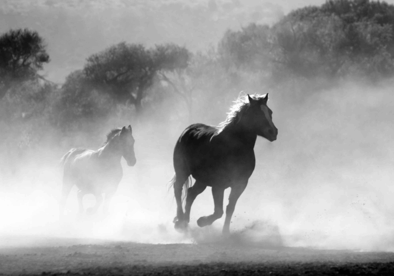 Where-Investment-Outcomes-Are-Realized